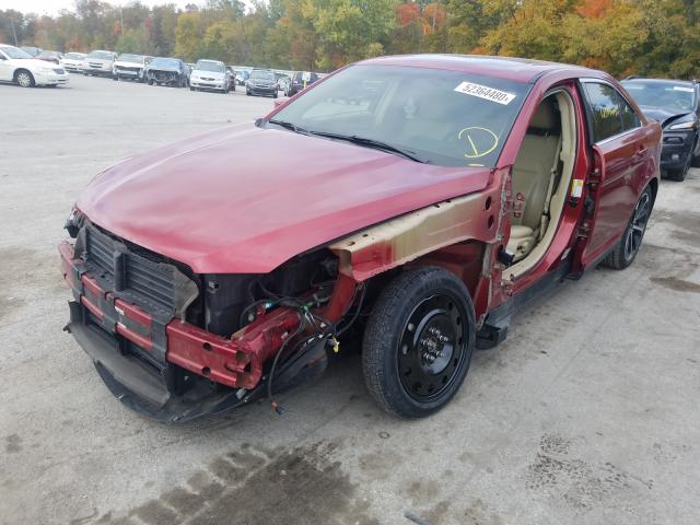 Photo 1 VIN: 1FAHP2E85GG102782 - FORD TAURUS SEL 