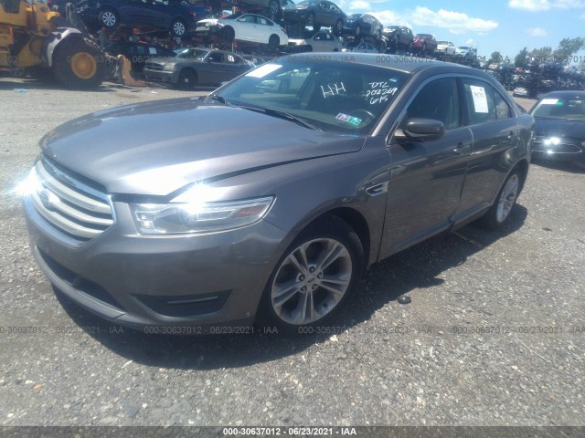 Photo 1 VIN: 1FAHP2E86DG202269 - FORD TAURUS 