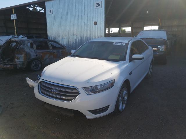 Photo 1 VIN: 1FAHP2E88DG126263 - FORD TAURUS SEL 