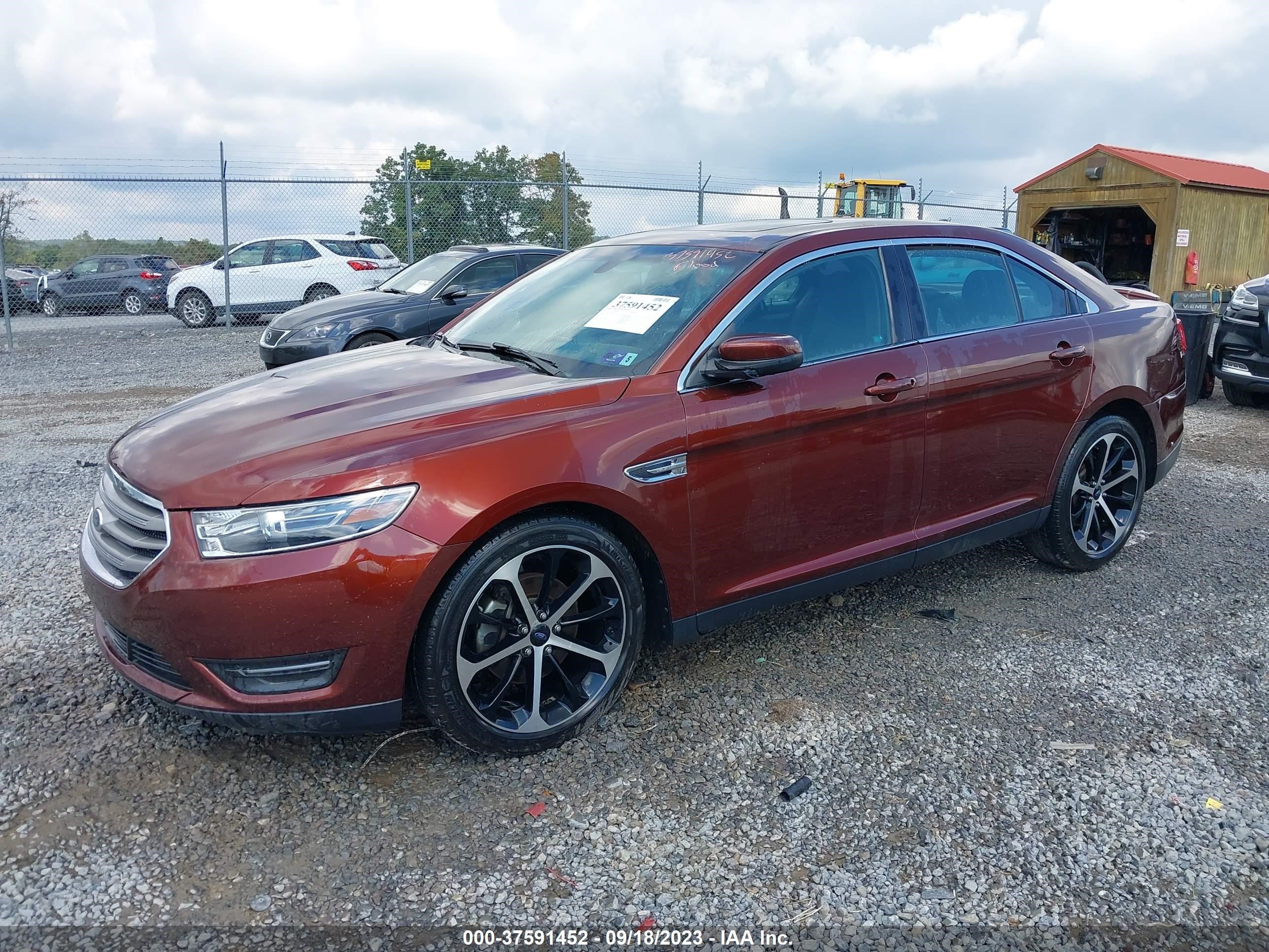 Photo 1 VIN: 1FAHP2E88GG121763 - FORD TAURUS 