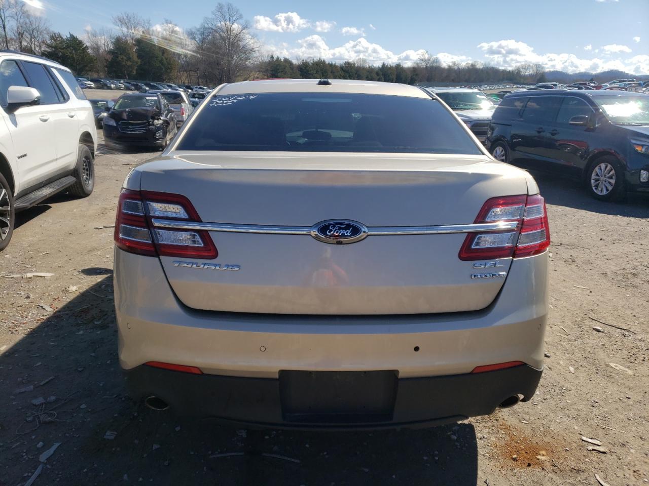 Photo 5 VIN: 1FAHP2E88HG122185 - FORD TAURUS 