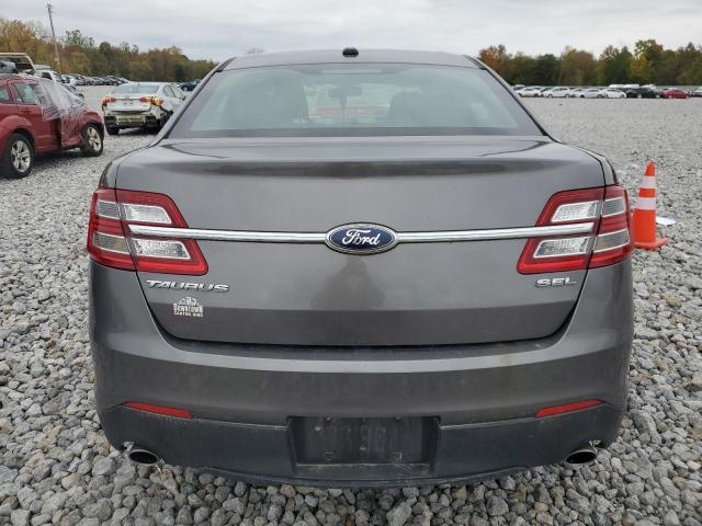 Photo 5 VIN: 1FAHP2E8XDG116768 - FORD TAURUS 