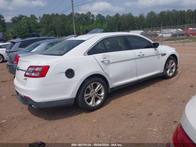 Photo 3 VIN: 1FAHP2E8XDG156316 - FORD TAURUS 