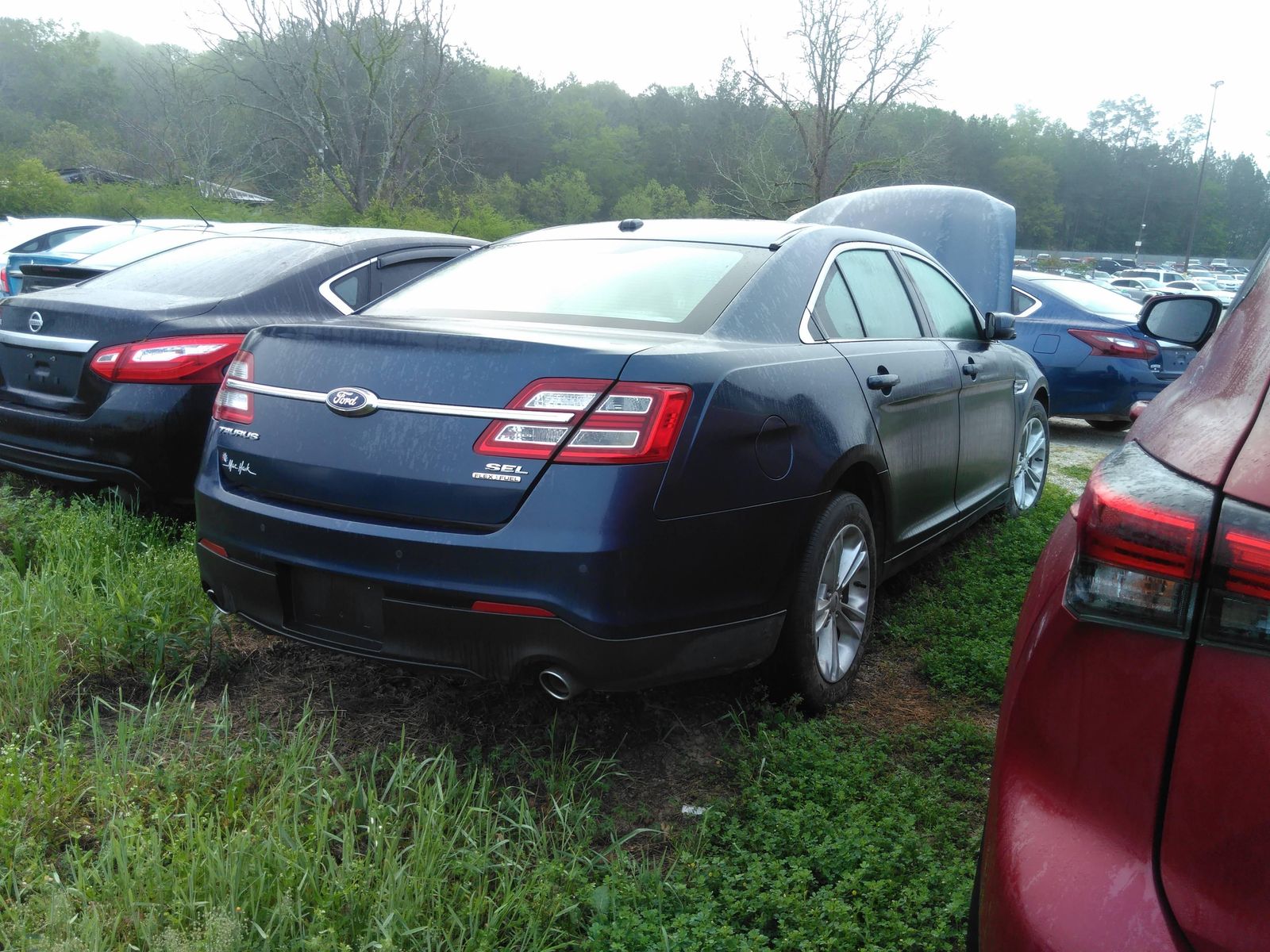 Photo 1 VIN: 1FAHP2E8XGG117309 - FORD TAURUS FWD V6 