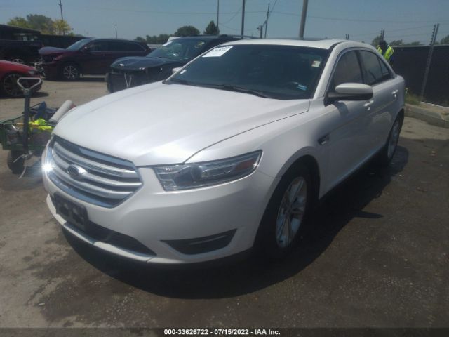 Photo 1 VIN: 1FAHP2E92DG172129 - FORD TAURUS 