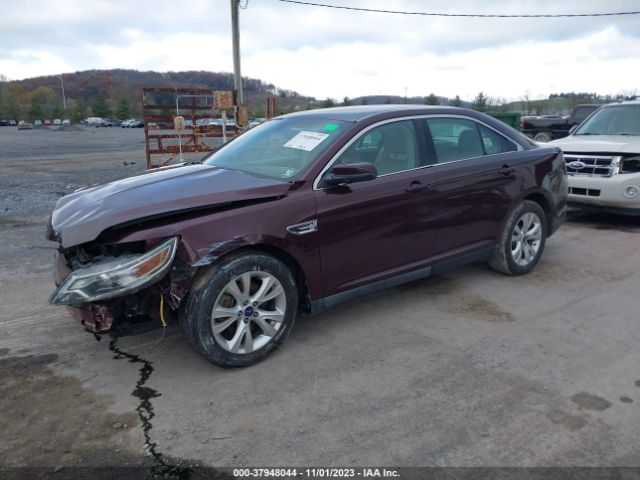 Photo 1 VIN: 1FAHP2EW4BG161328 - FORD TAURUS 