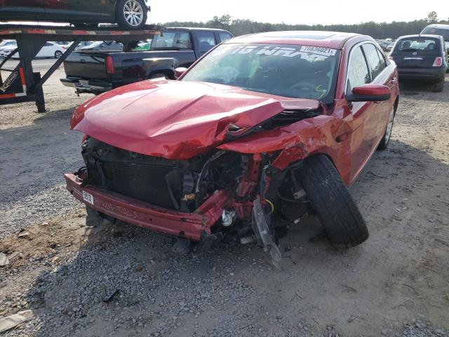 Photo 8 VIN: 1FAHP2EW7BG131305 - FORD TAURUS SEL 