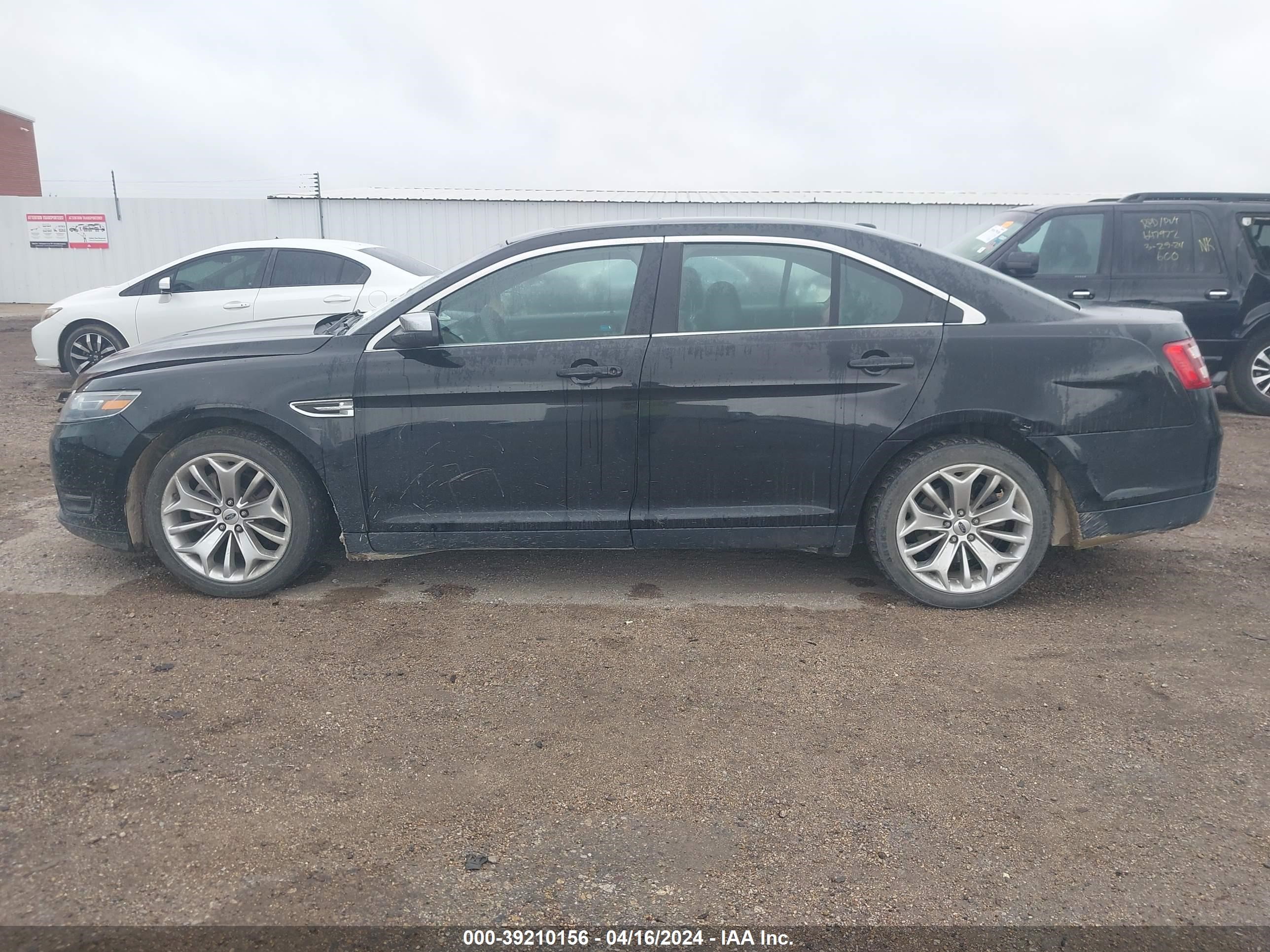 Photo 12 VIN: 1FAHP2F81HG123421 - FORD TAURUS 