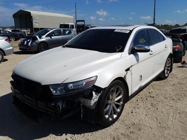 Photo 1 VIN: 1FAHP2F83DG207508 - FORD TAURUS LIM 