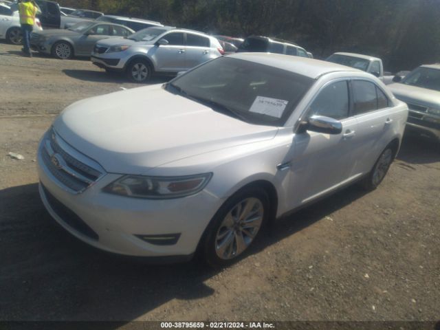 Photo 1 VIN: 1FAHP2FW2BG135955 - FORD TAURUS 