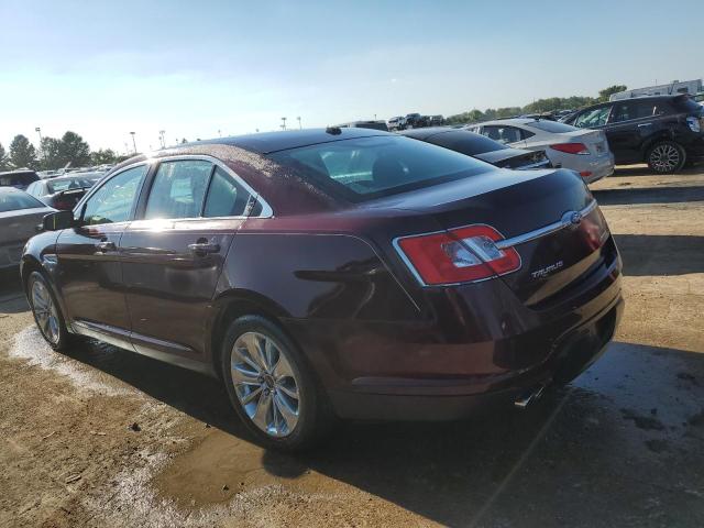 Photo 1 VIN: 1FAHP2FW4BG126416 - FORD TAURUS LIM 