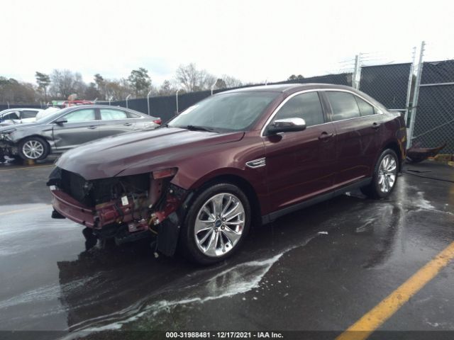 Photo 1 VIN: 1FAHP2FW4BG158430 - FORD TAURUS 