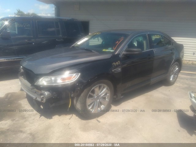 Photo 1 VIN: 1FAHP2FW8BG146118 - FORD TAURUS 