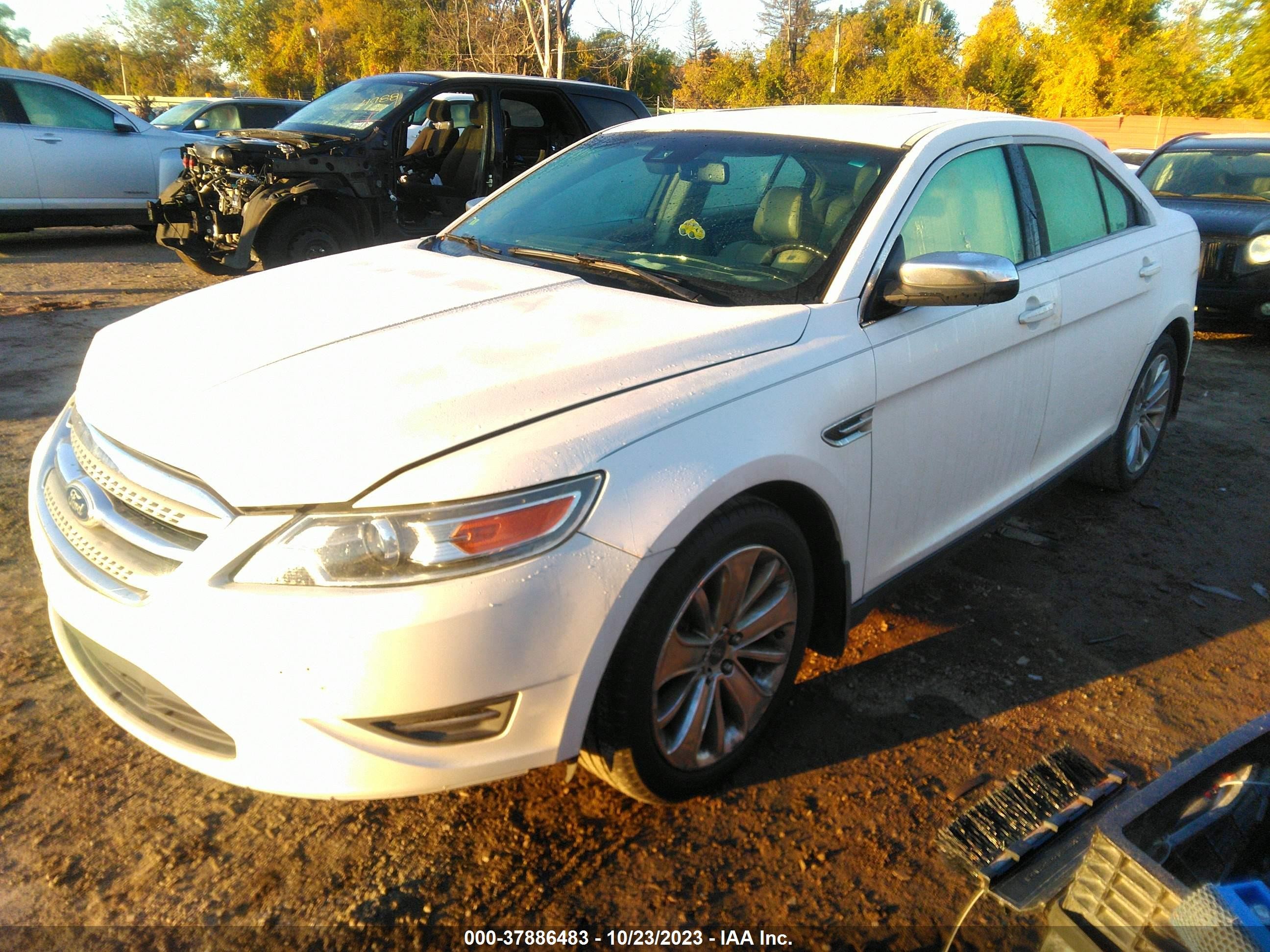 Photo 1 VIN: 1FAHP2FW9CG128101 - FORD TAURUS 