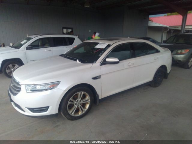 Photo 1 VIN: 1FAHP2H82DG107574 - FORD TAURUS 