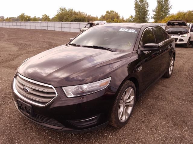 Photo 1 VIN: 1FAHP2H82DG127338 - FORD TAURUS SEL 