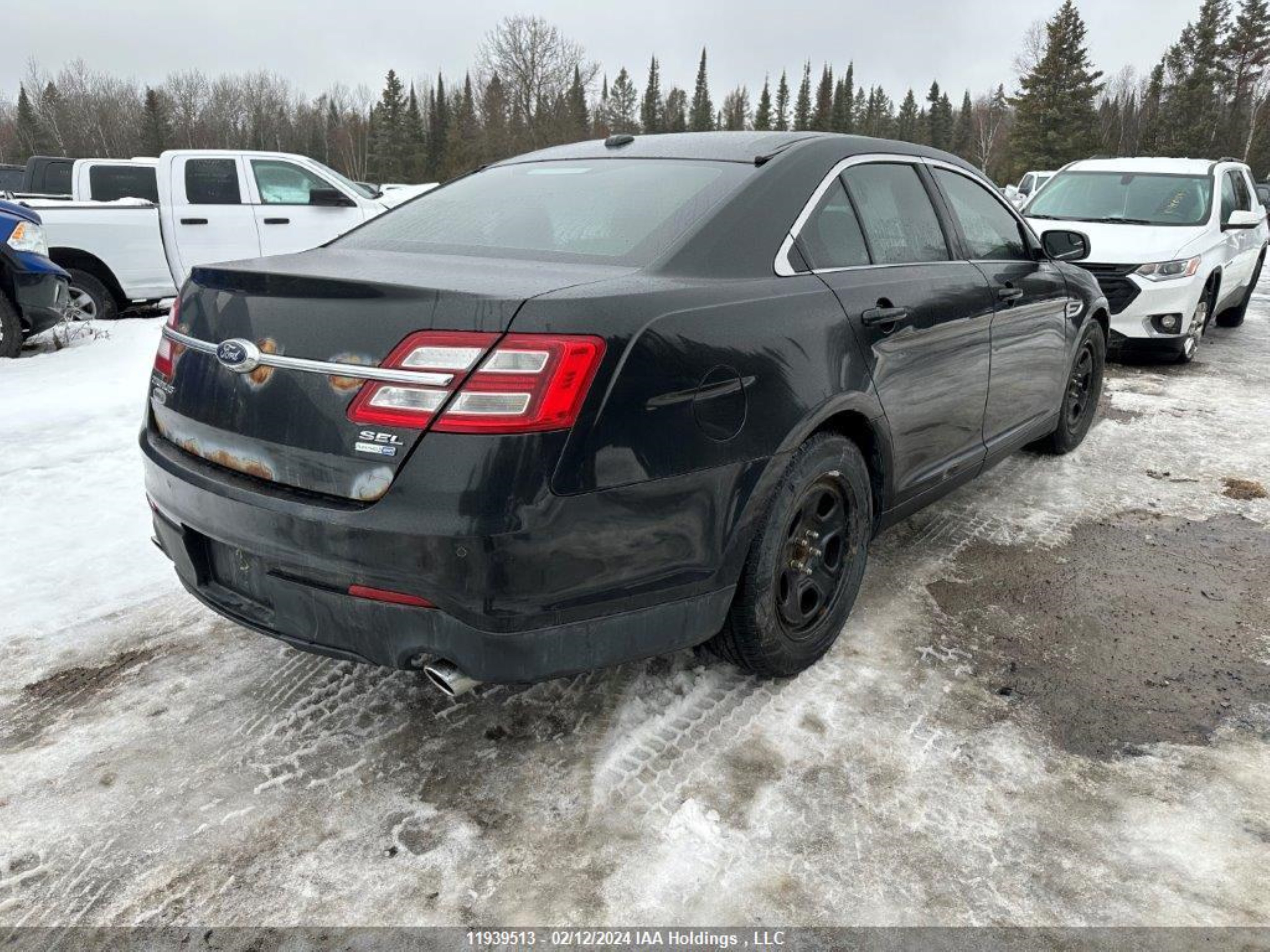 Photo 4 VIN: 1FAHP2H83EG172435 - FORD TAURUS 