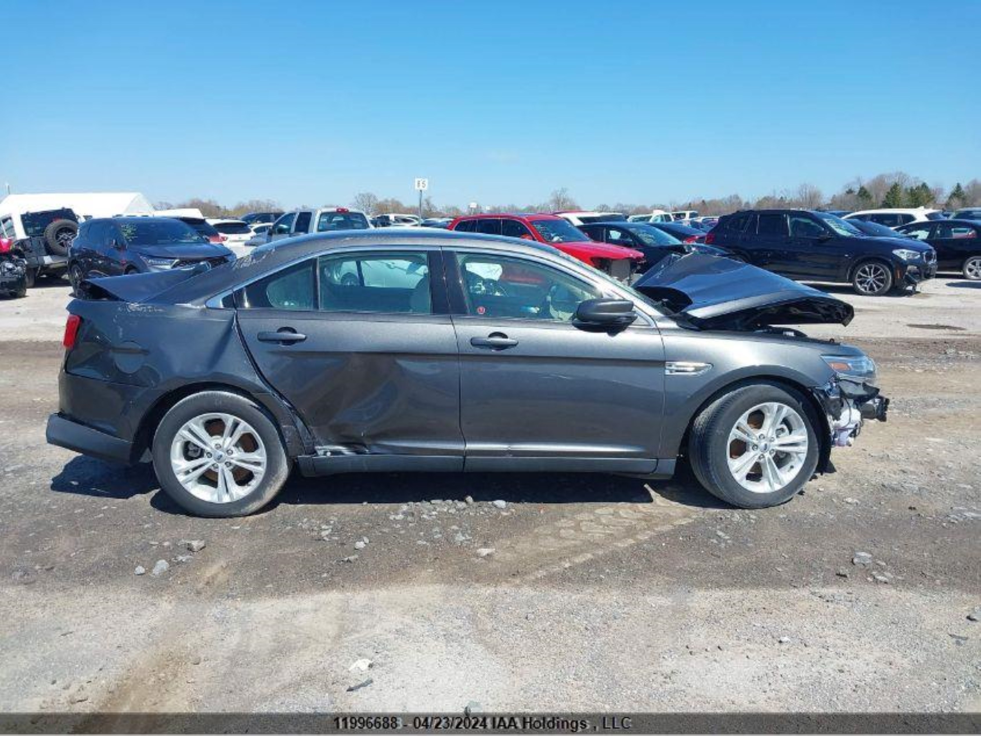 Photo 12 VIN: 1FAHP2H83GG111332 - FORD TAURUS 