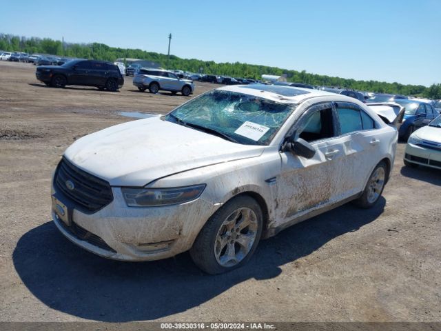 Photo 1 VIN: 1FAHP2H86KG105629 - FORD TAURUS 