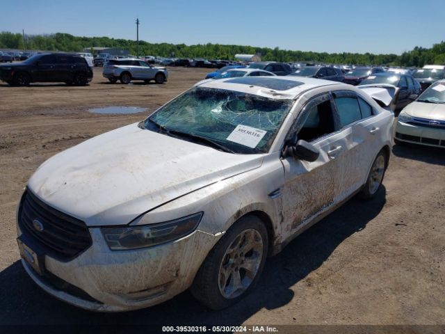 Photo 5 VIN: 1FAHP2H86KG105629 - FORD TAURUS 