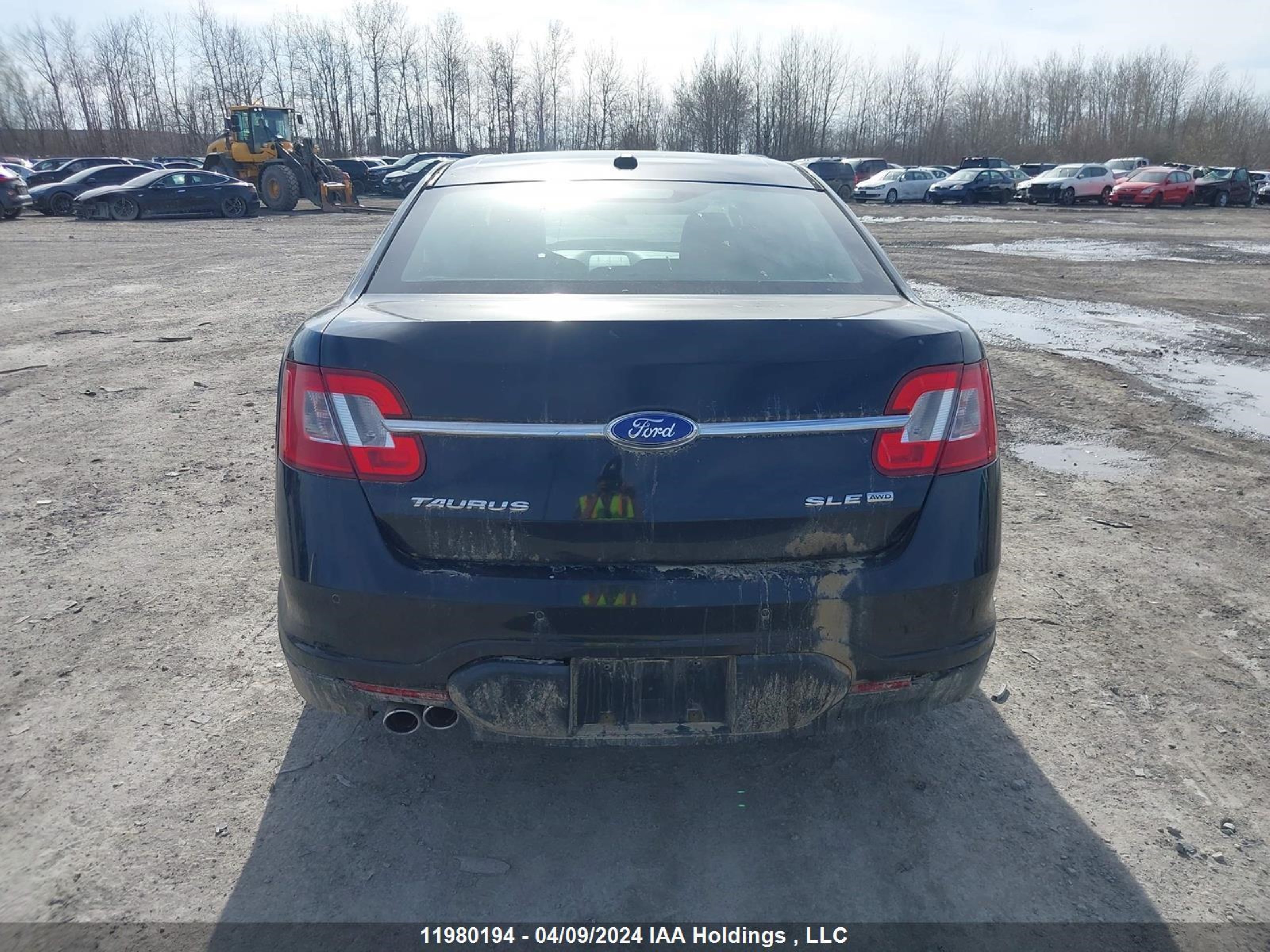 Photo 14 VIN: 1FAHP2HW0BG114941 - FORD TAURUS 