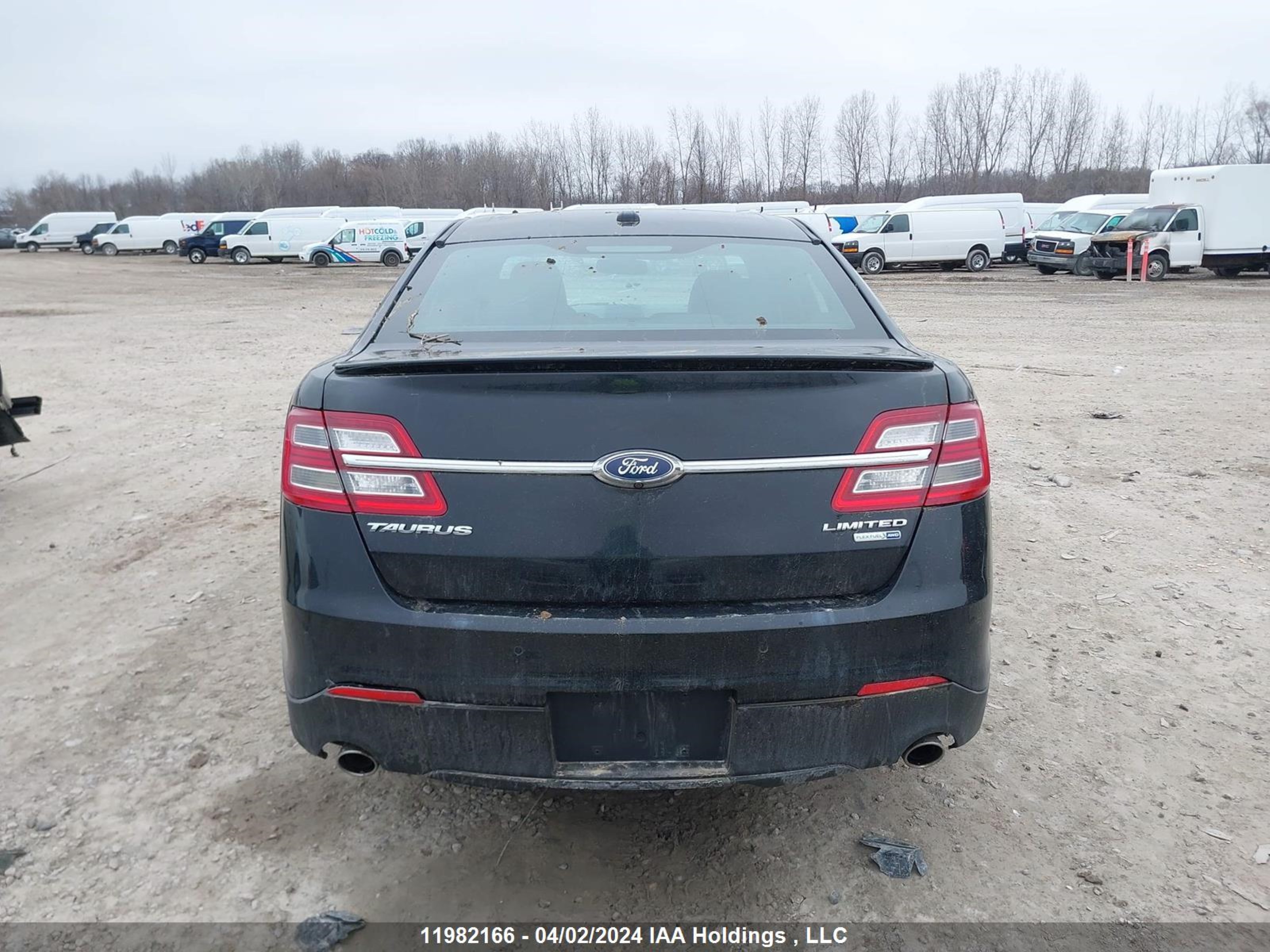 Photo 15 VIN: 1FAHP2J81GG100162 - FORD TAURUS 