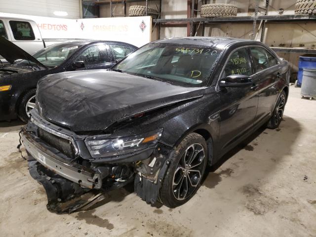 Photo 1 VIN: 1FAHP2KT4DG224943 - FORD TAURUS SHO 