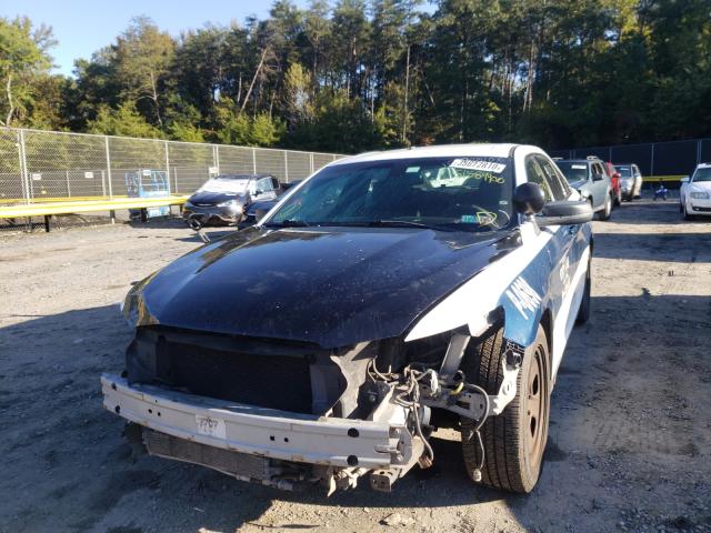 Photo 8 VIN: 1FAHP2M85DG184882 - FORD TAURUS POL 