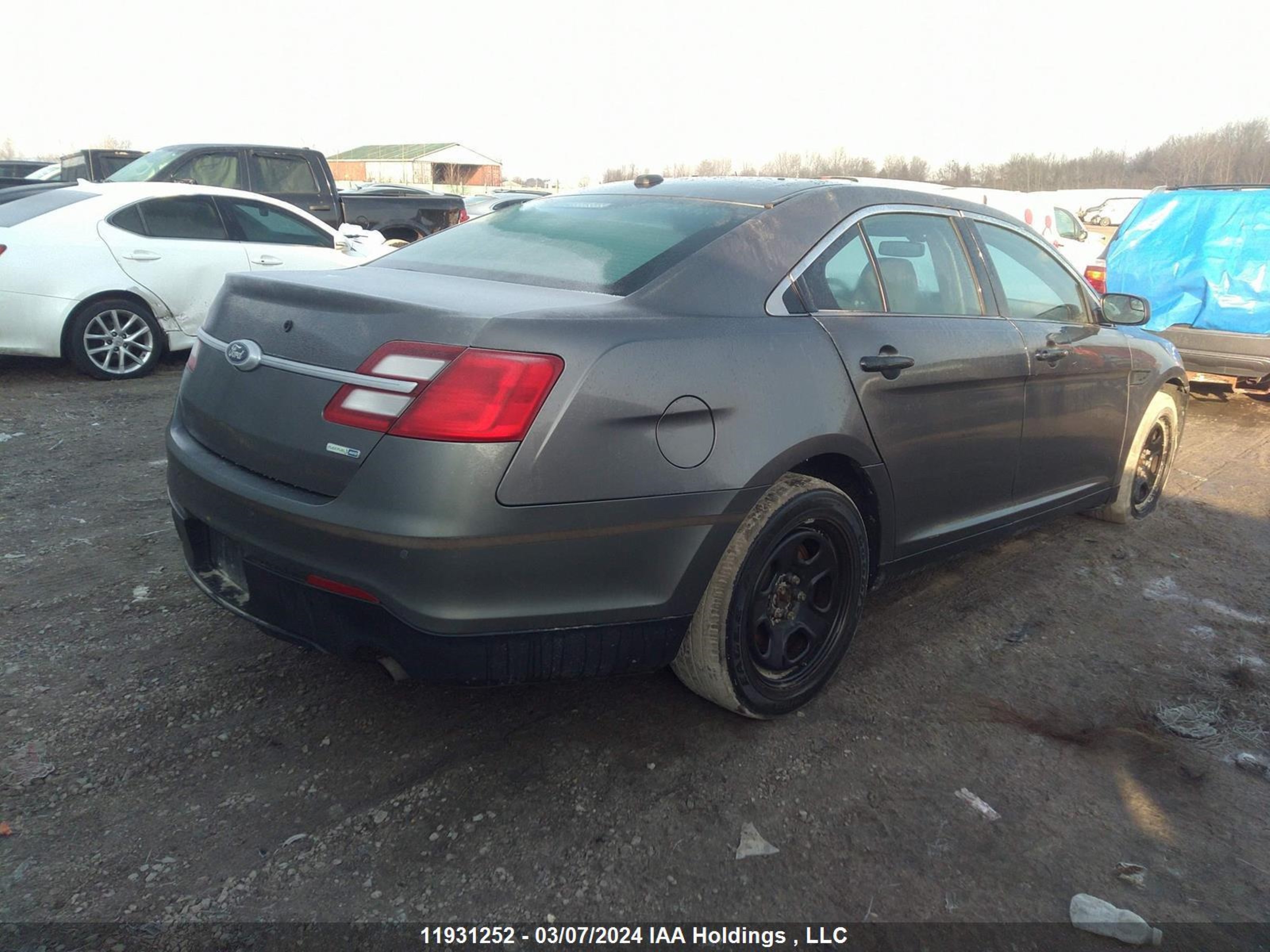 Photo 3 VIN: 1FAHP2MK2GG114563 - FORD TAURUS 