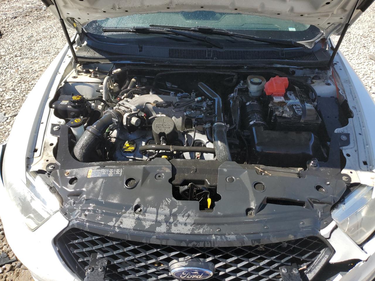 Photo 10 VIN: 1FAHP2MT4DG100457 - FORD TAURUS 