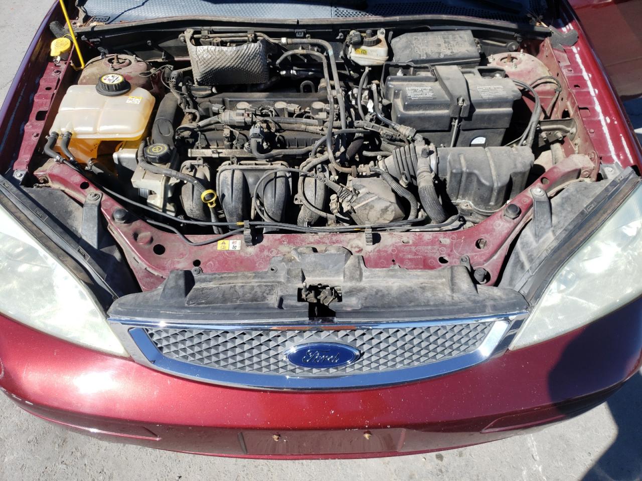 Photo 10 VIN: 1FAHP31N36W201994 - FORD FOCUS 