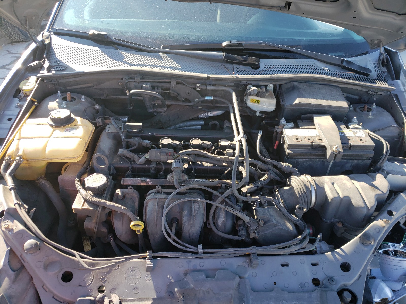 Photo 6 VIN: 1FAHP31N66W253703 - FORD FOCUS ZX3 