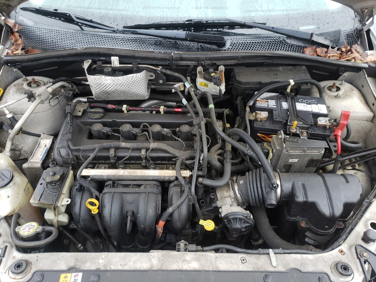 Photo 6 VIN: 1FAHP35N18W251791 - FORD FOCUS SE 