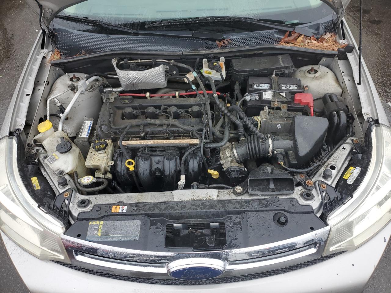 Photo 10 VIN: 1FAHP35N98W274624 - FORD FOCUS 