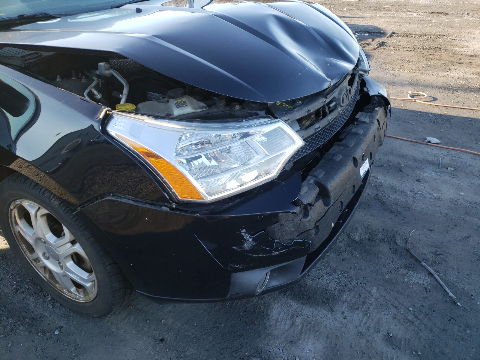 Photo 8 VIN: 1FAHP35NX8W187542 - FORD FOCUS SE 