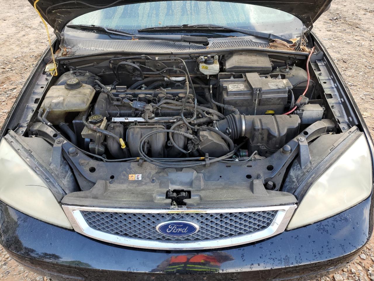 Photo 10 VIN: 1FAHP37N47W185264 - FORD FOCUS 