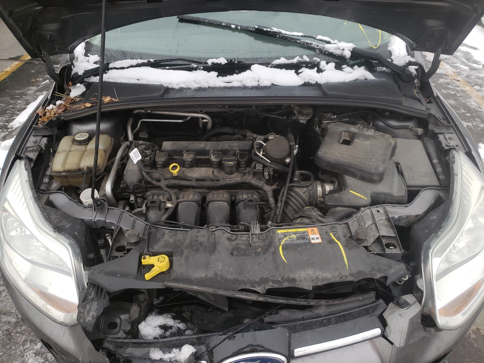 Photo 6 VIN: 1FAHP3F20CL105204 - FORD FOCUS SE 