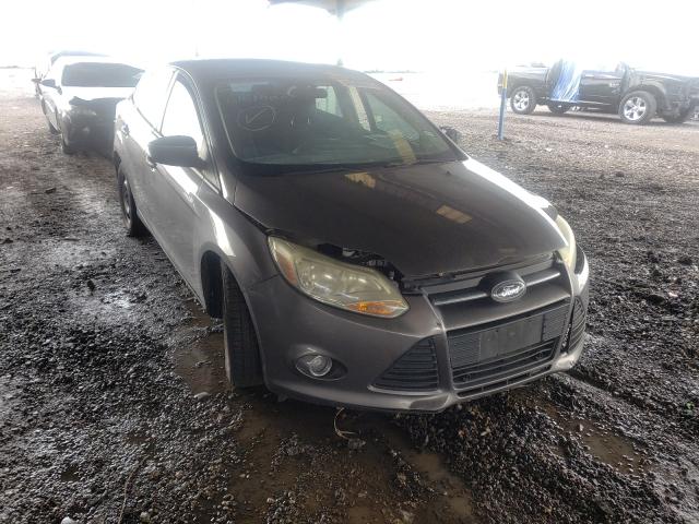 Photo 0 VIN: 1FAHP3F20CL212107 - FORD FOCUS SE 