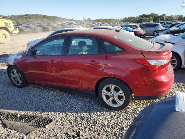 Photo 1 VIN: 1FAHP3F20CL443959 - FORD FOCUS SE 