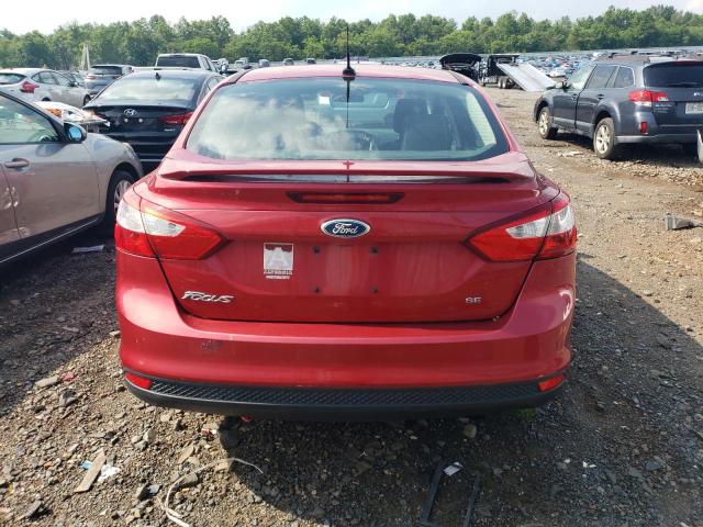 Photo 5 VIN: 1FAHP3F22CL101445 - FORD FOCUS SE 