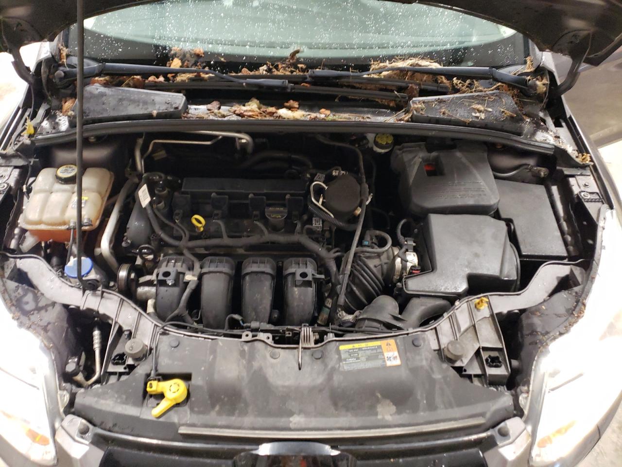 Photo 10 VIN: 1FAHP3F23CL226387 - FORD FOCUS 