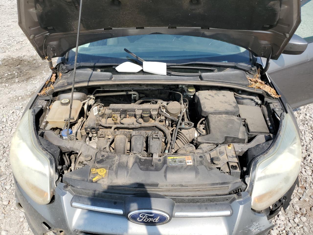 Photo 10 VIN: 1FAHP3F23CL448783 - FORD FOCUS 