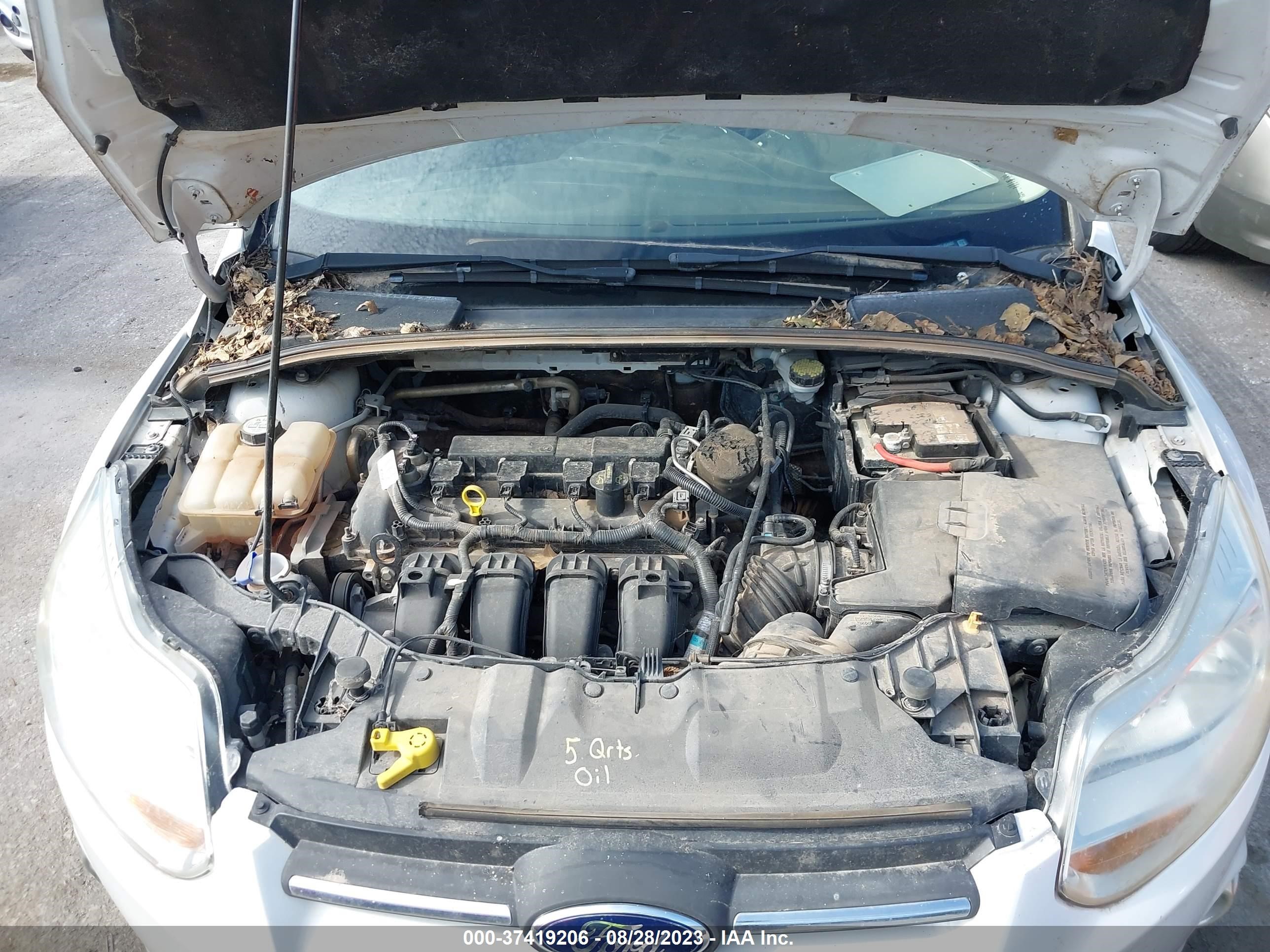 Photo 9 VIN: 1FAHP3F23CL454907 - FORD FOCUS 