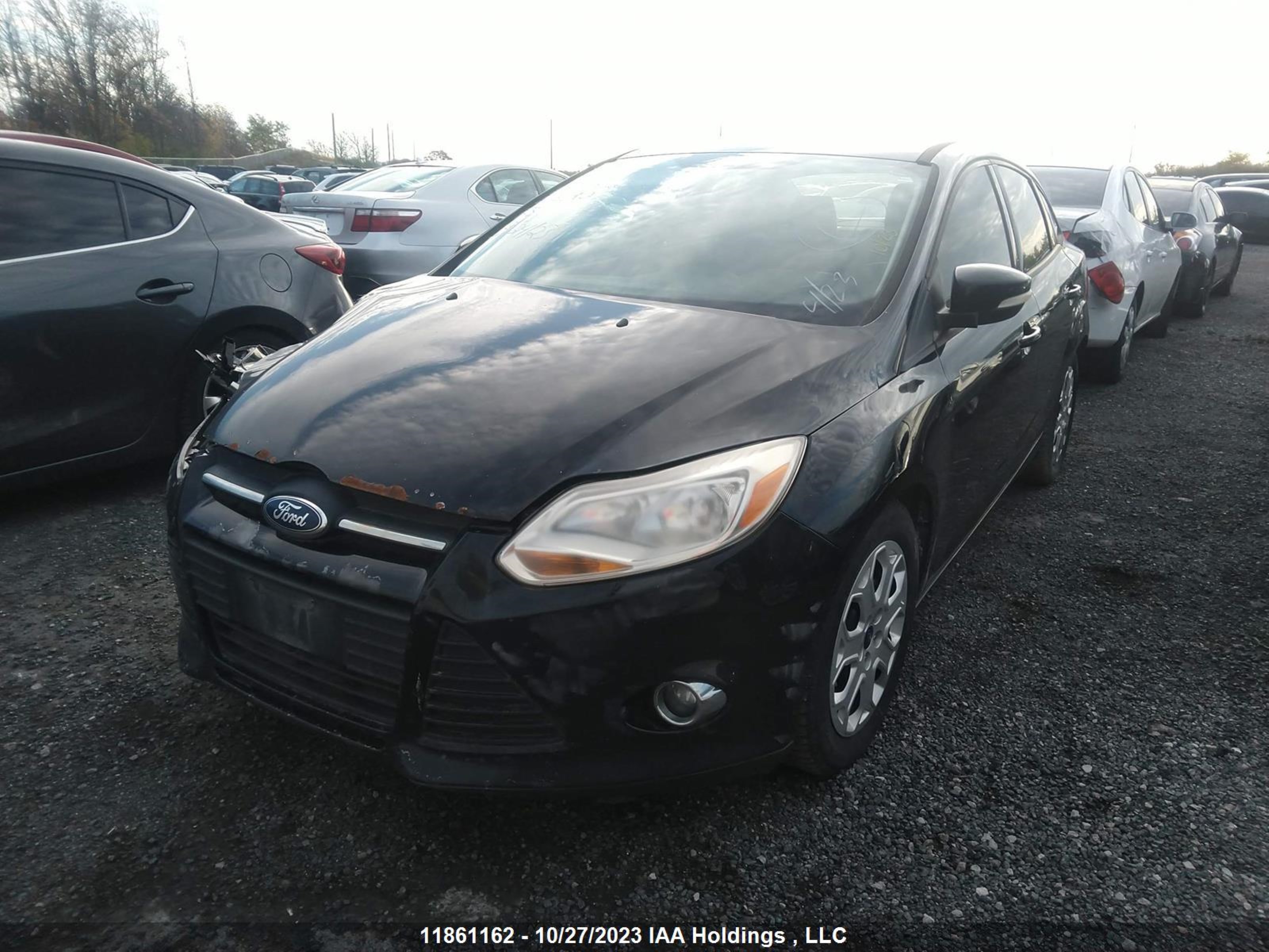 Photo 1 VIN: 1FAHP3F24CL245692 - FORD FOCUS 