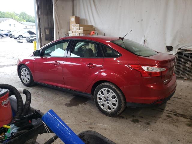 Photo 1 VIN: 1FAHP3F24CL456276 - FORD FOCUS SE 