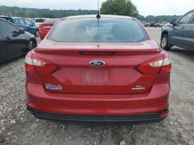 Photo 5 VIN: 1FAHP3F25CL420967 - FORD FOCUS SE 