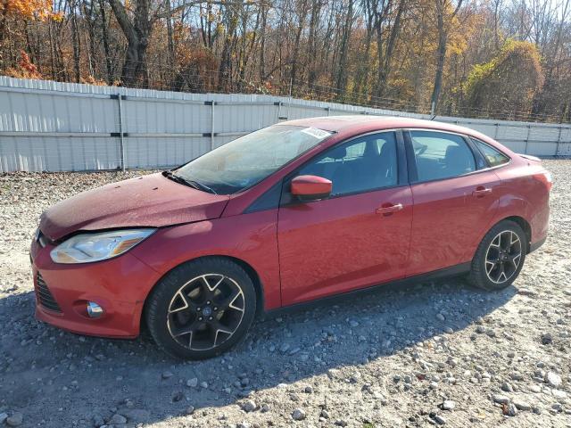 Photo 0 VIN: 1FAHP3F27CL124297 - FORD FOCUS SE 