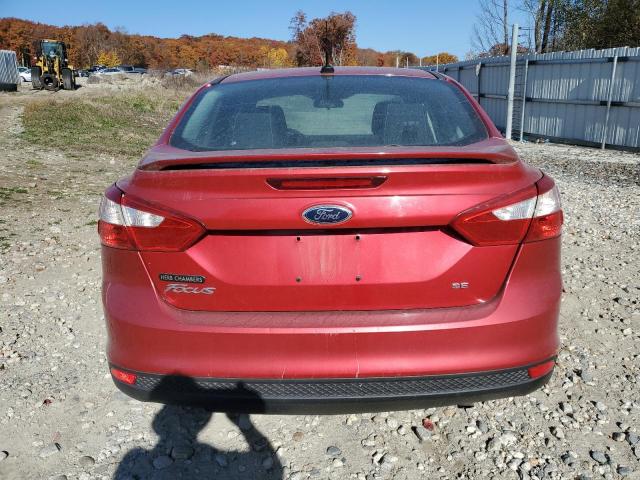 Photo 5 VIN: 1FAHP3F27CL124297 - FORD FOCUS SE 