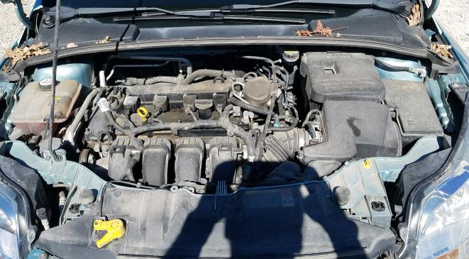 Photo 6 VIN: 1FAHP3F28CL220889 - FORD FOCUS SE 