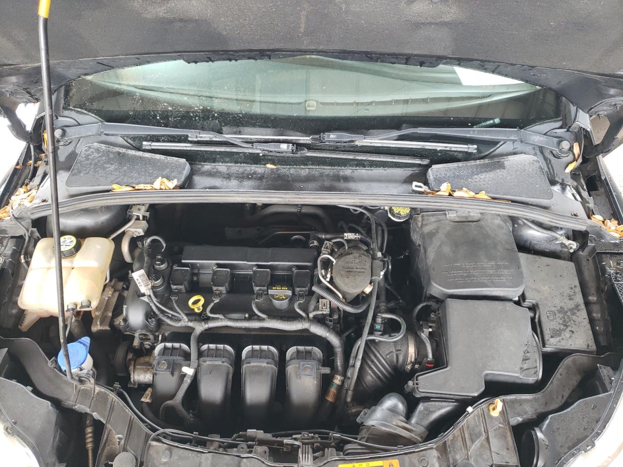 Photo 10 VIN: 1FAHP3F28CL420199 - FORD FOCUS 